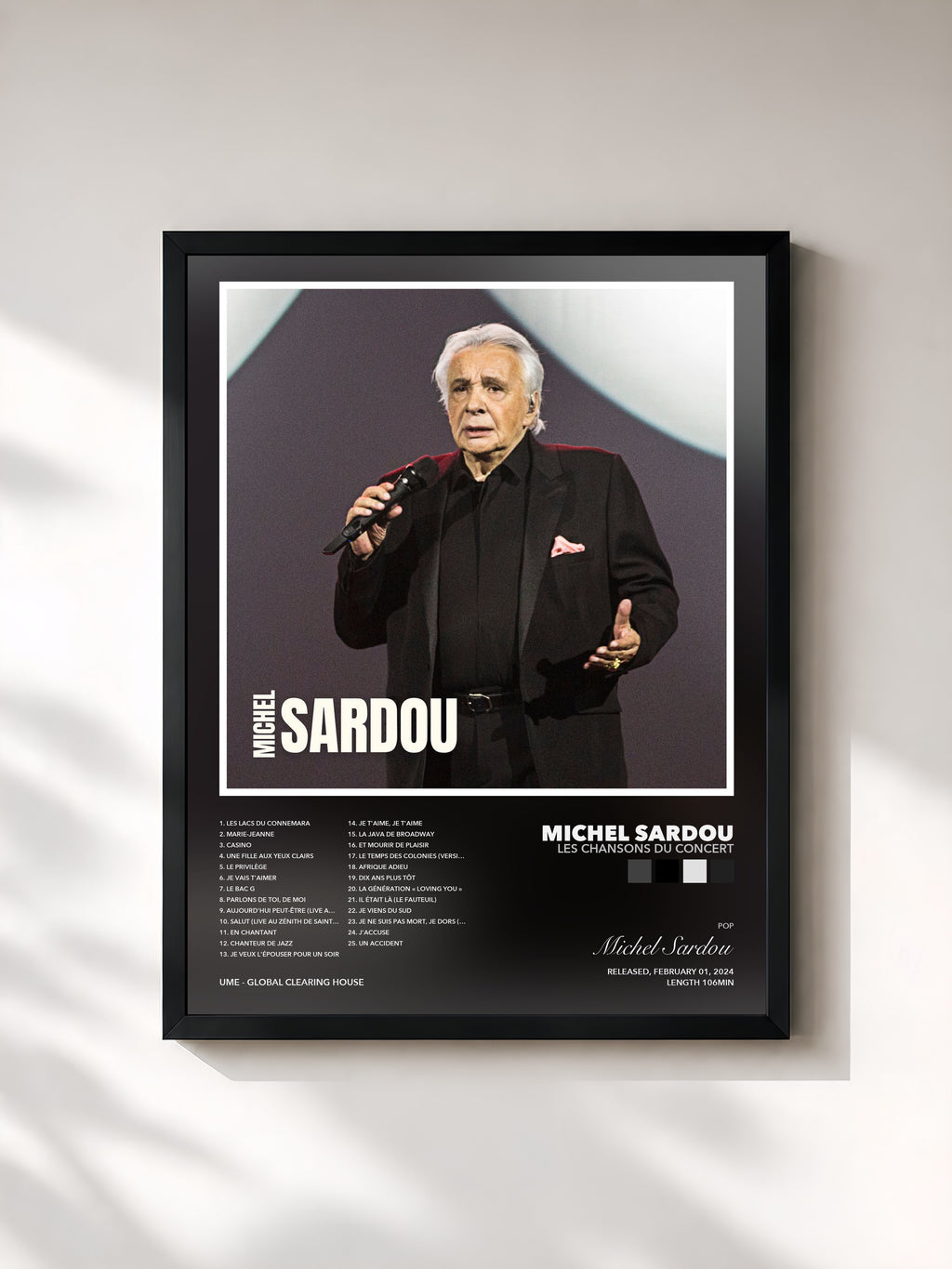 Michel Sardou · Les chansons du concert