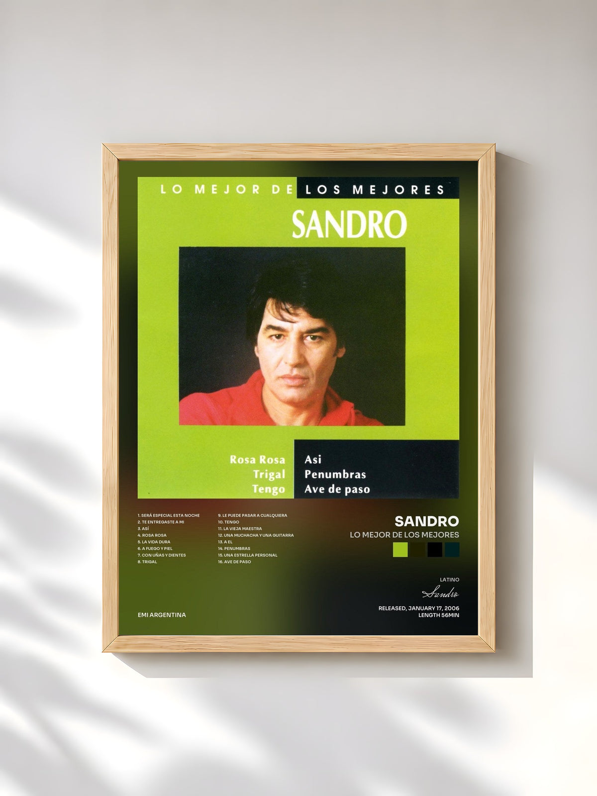 #bois Tableau de l'album Lo Mejor De Los Mejores de Sandro, cadre en bois brut, imprimé et encadré en France