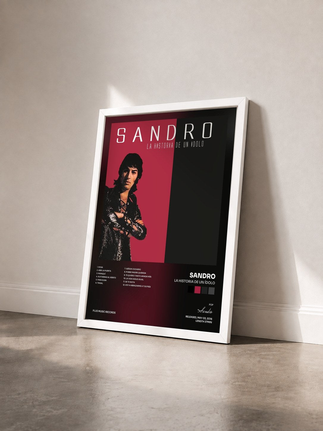 #blanc Tableau de l'album La Historia de un Ídolo de Sandro vu de trois quarts, cadre blanc