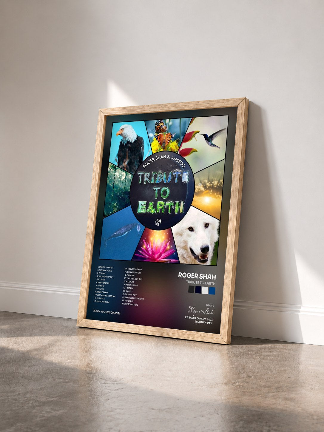 #bois Tableau de l'album Tribute to Earth de Roger Shah vu de trois quarts, cadre en bois brut