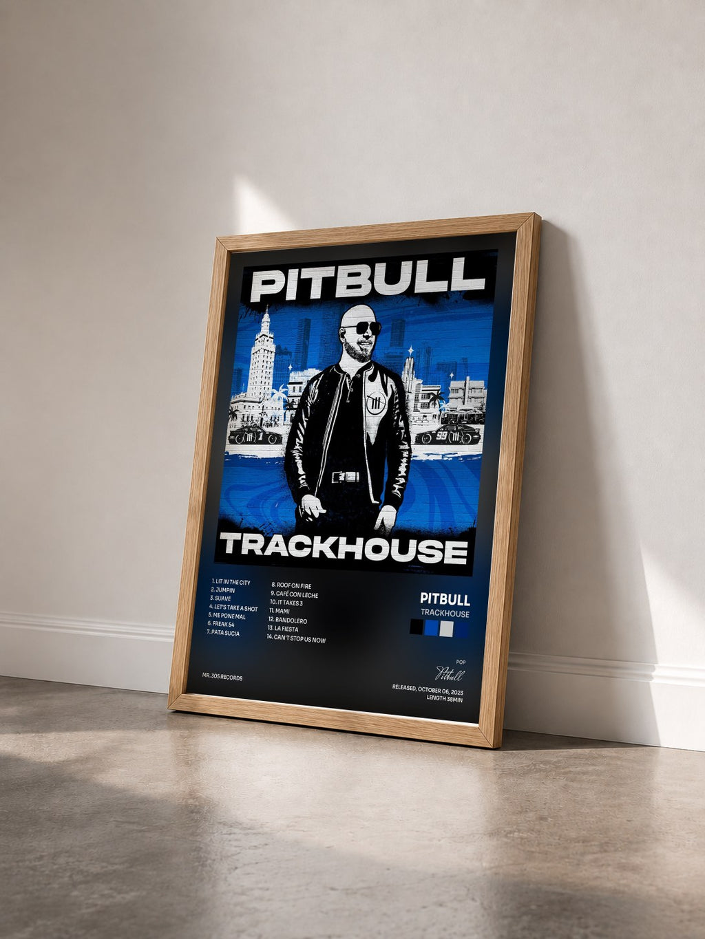 #bois Tableau de l'album Trackhouse de Pitbull vu de trois quarts, cadre en bois brut