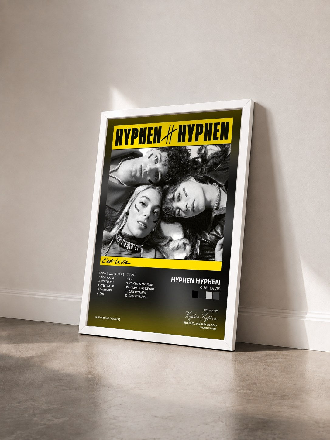#blanc Tableau de l'album C'est La vie de Hyphen Hyphen vu de trois quarts, cadre blanc