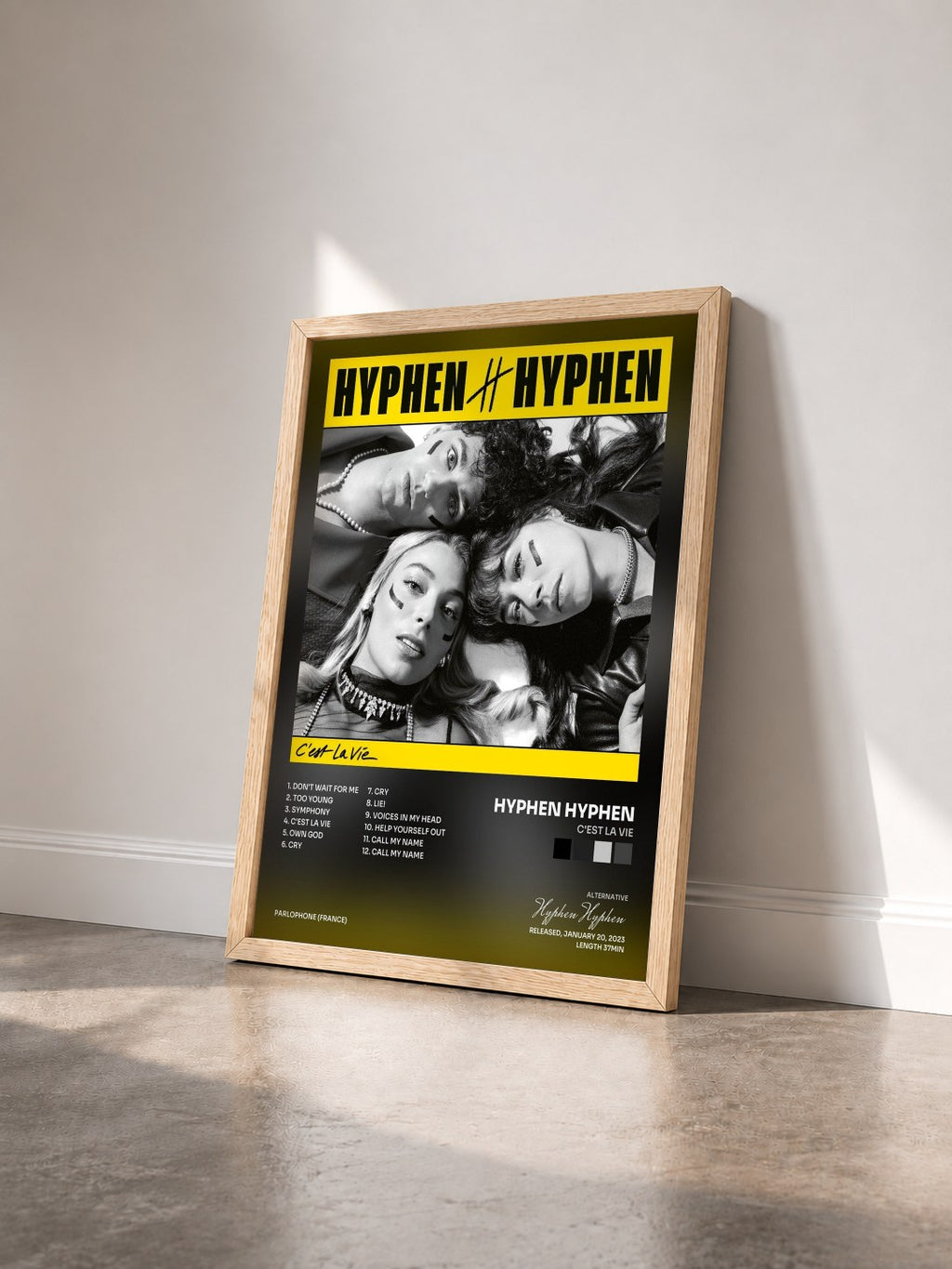 #bois Tableau de l'album C'est La vie de Hyphen Hyphen vu de trois quarts, cadre en bois brut