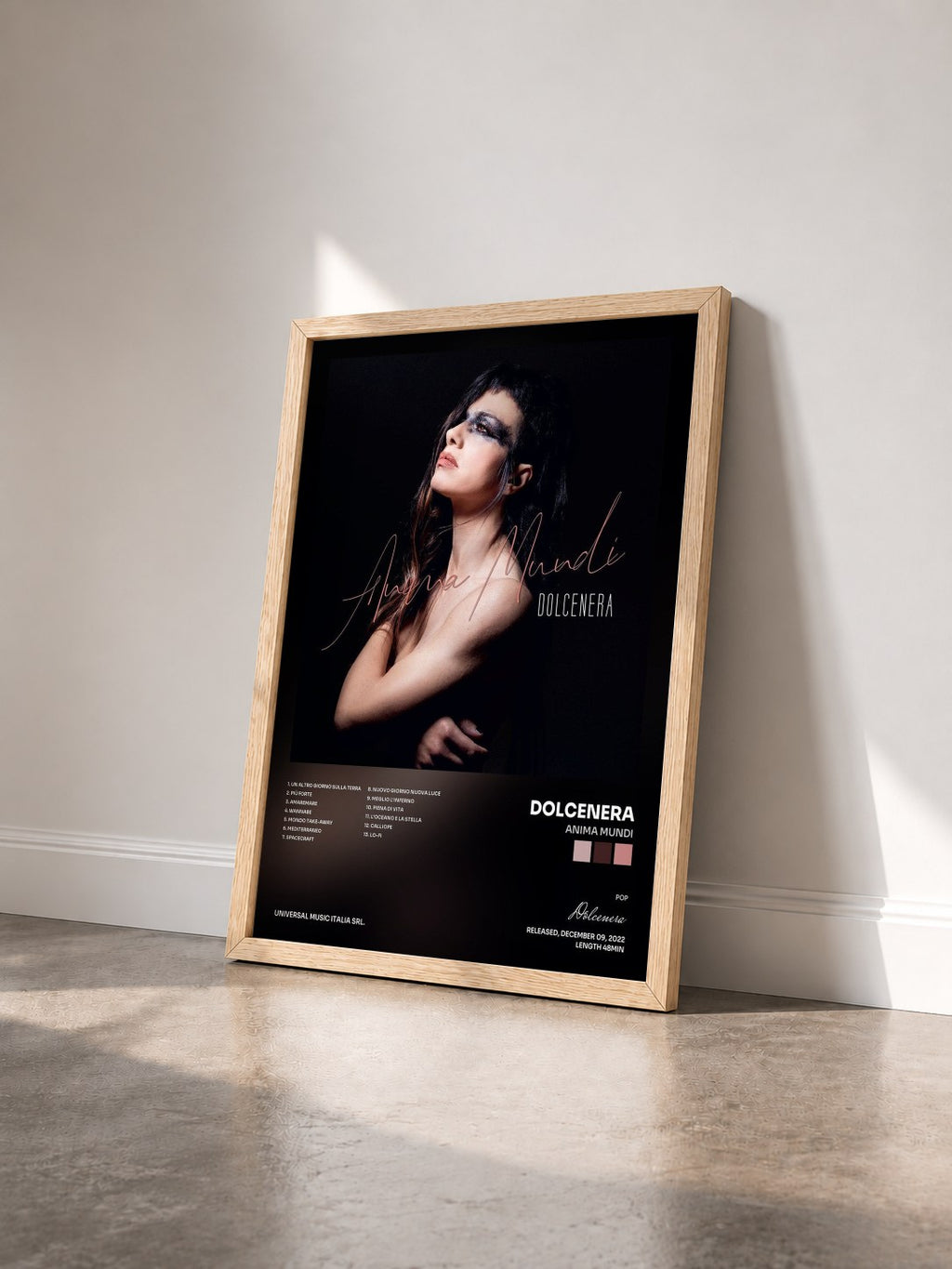 #bois Tableau de l'album Anima Mundi de Dolcenera vu de trois quarts, cadre en bois brut