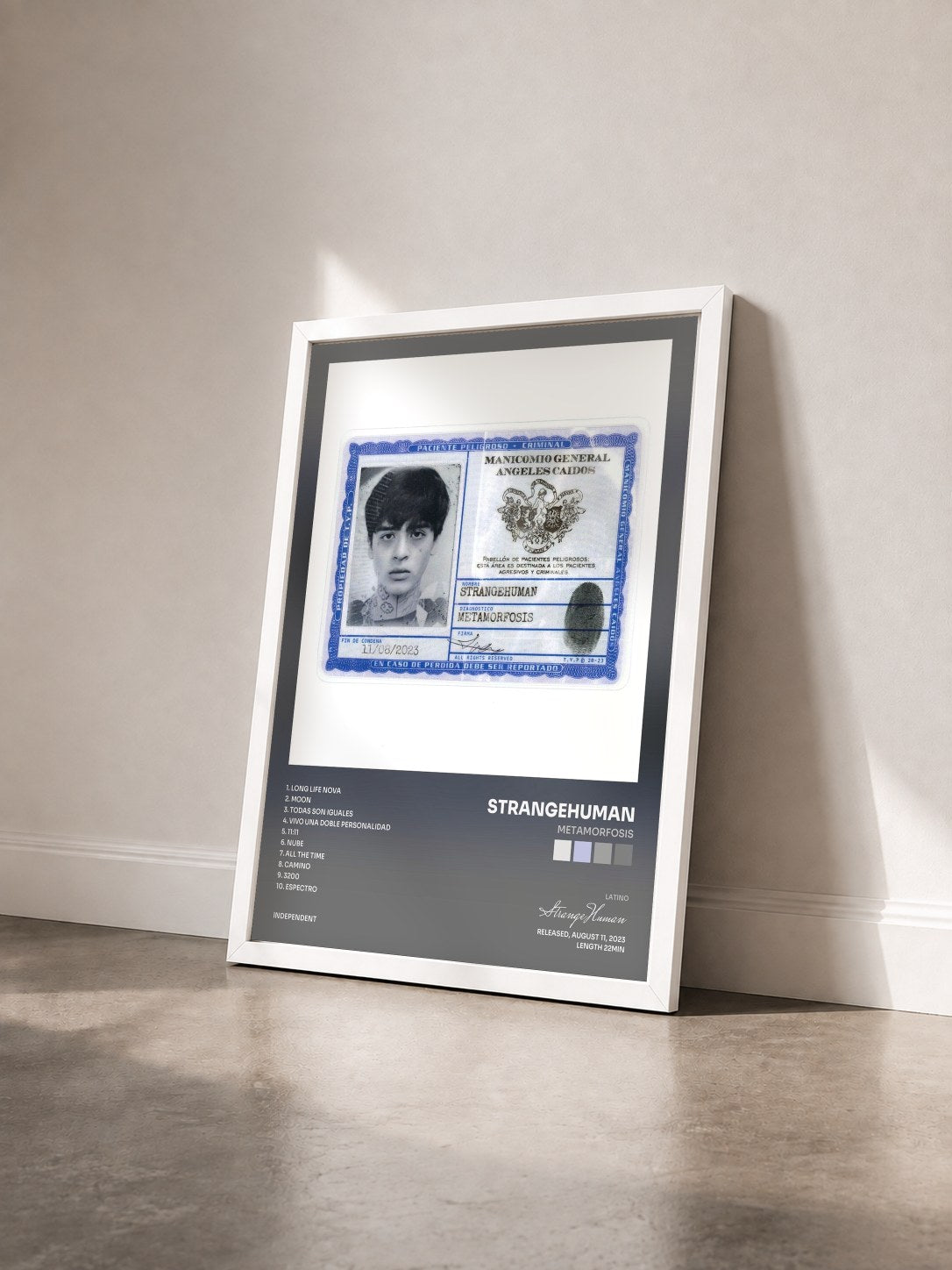 #blanc Tableau de l'album METAMORFOSIS de StrangeHuman vu de trois quarts, cadre blanc