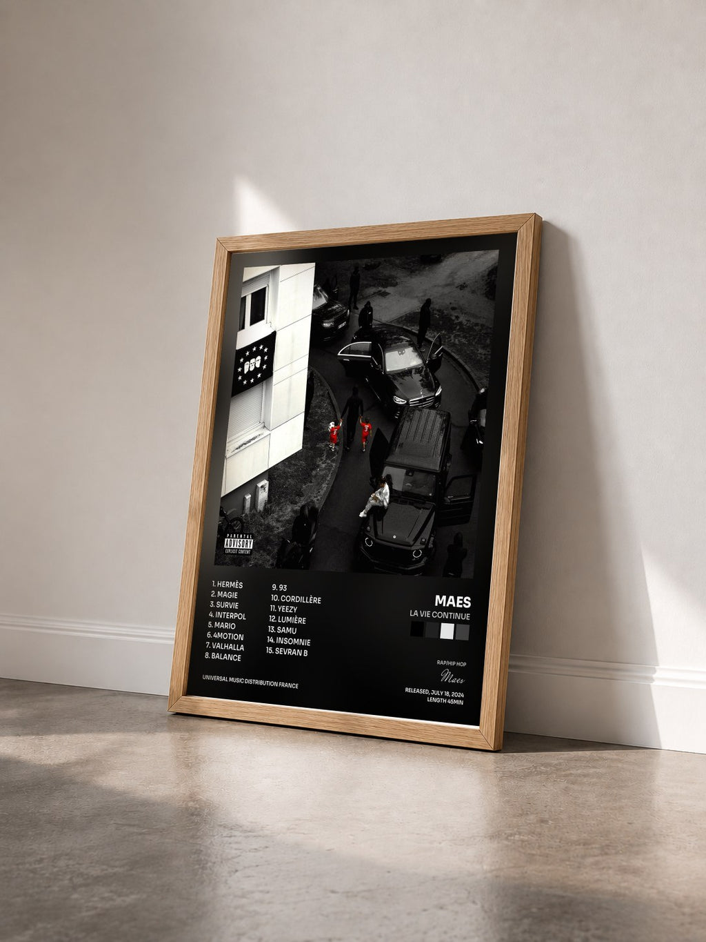 #bois Tableau de l'album LA VIE CONTINUE de Maes vu de trois quarts, cadre en bois brut