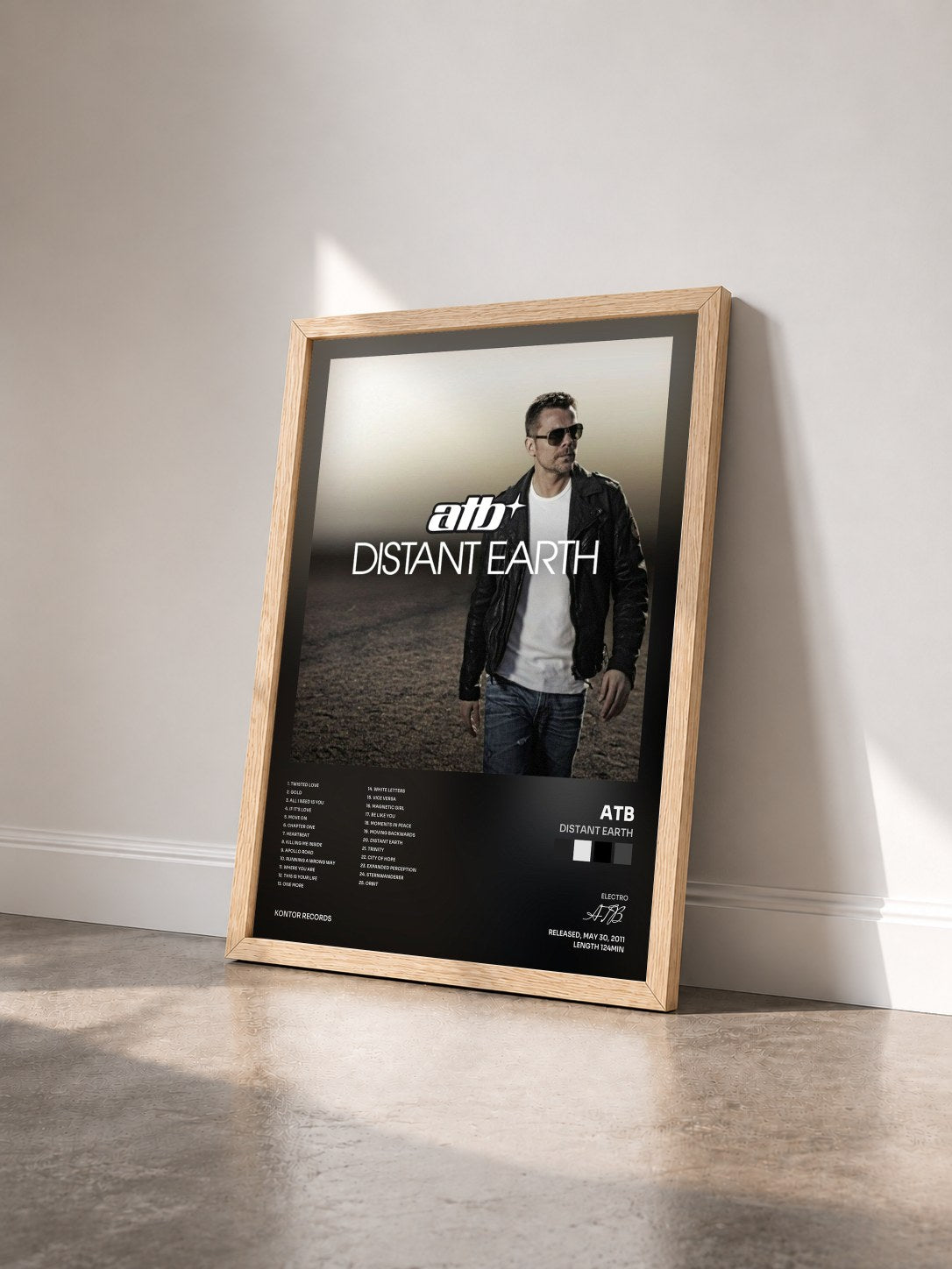 #bois Tableau de l'album Distant Earth de ATB vu de trois quarts, cadre en bois brut