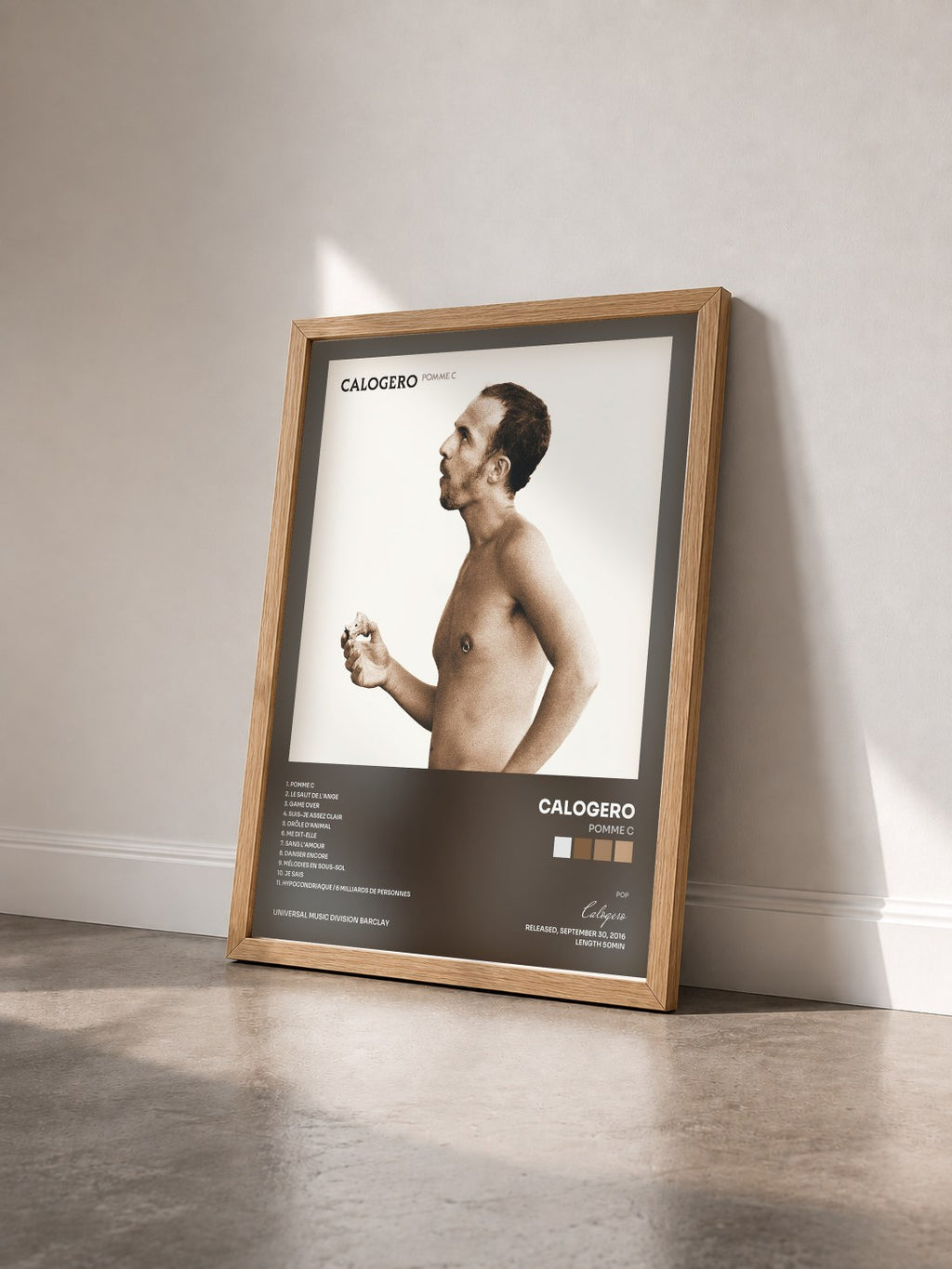 #bois Tableau de l'album Pomme C de Calogero vu de trois quarts, cadre en bois brut