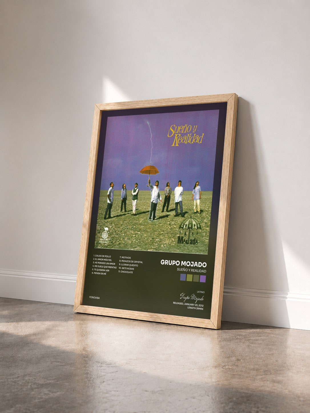 #bois Tableau de l'album Sueño Y Realidad de Grupo Mojado vu de trois quarts, cadre en bois brut