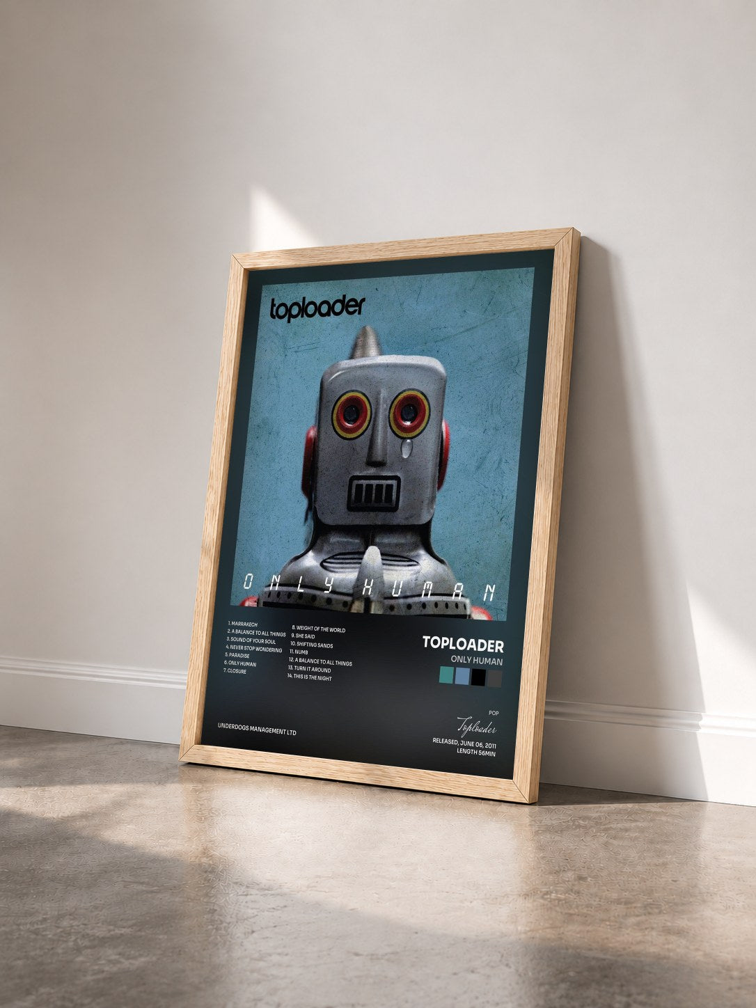 #bois Tableau de l'album Only Human de Toploader vu de trois quarts, cadre en bois brut