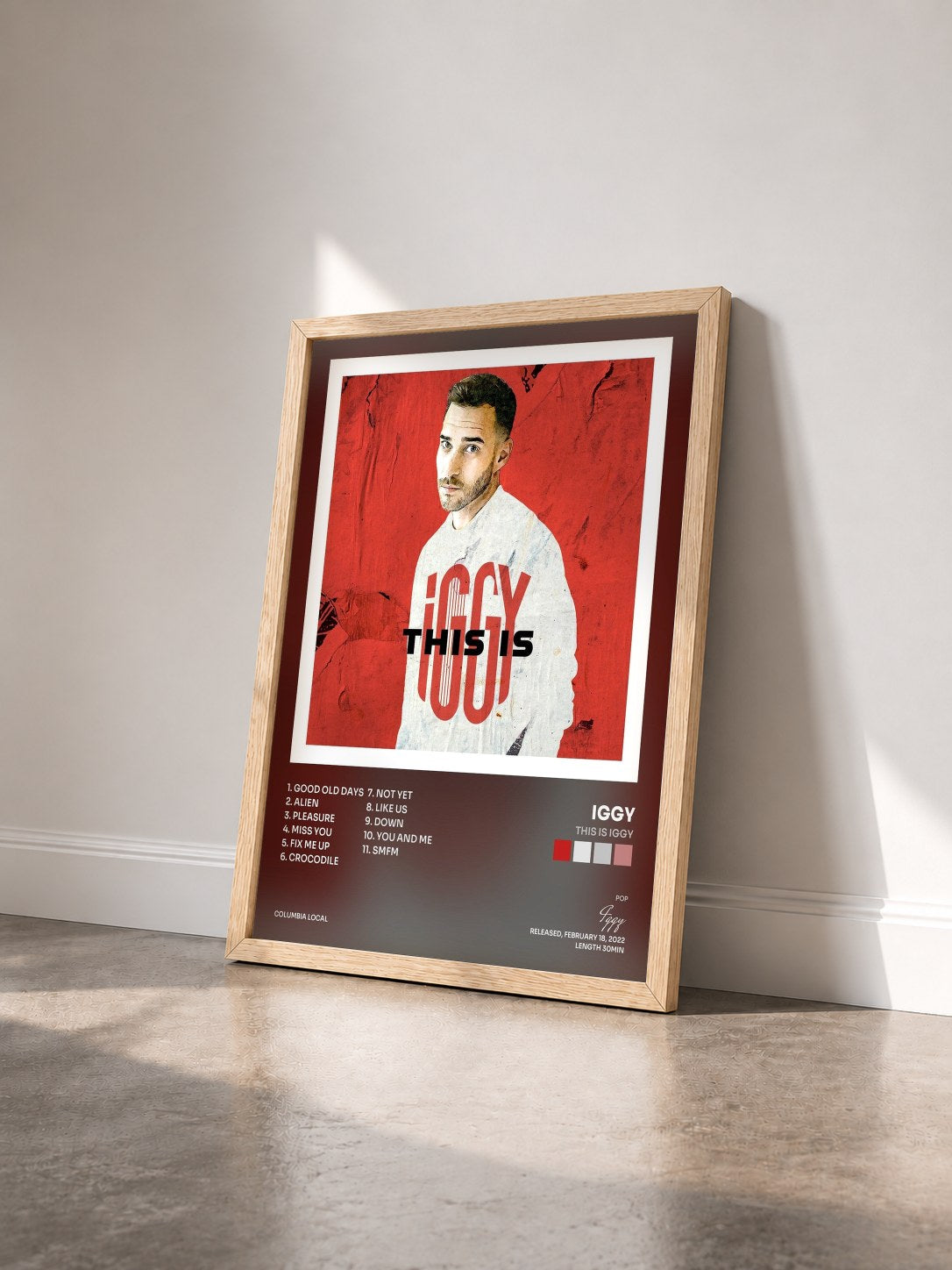 #bois Tableau de l'album this is iggy de Iggy vu de trois quarts, cadre en bois brut