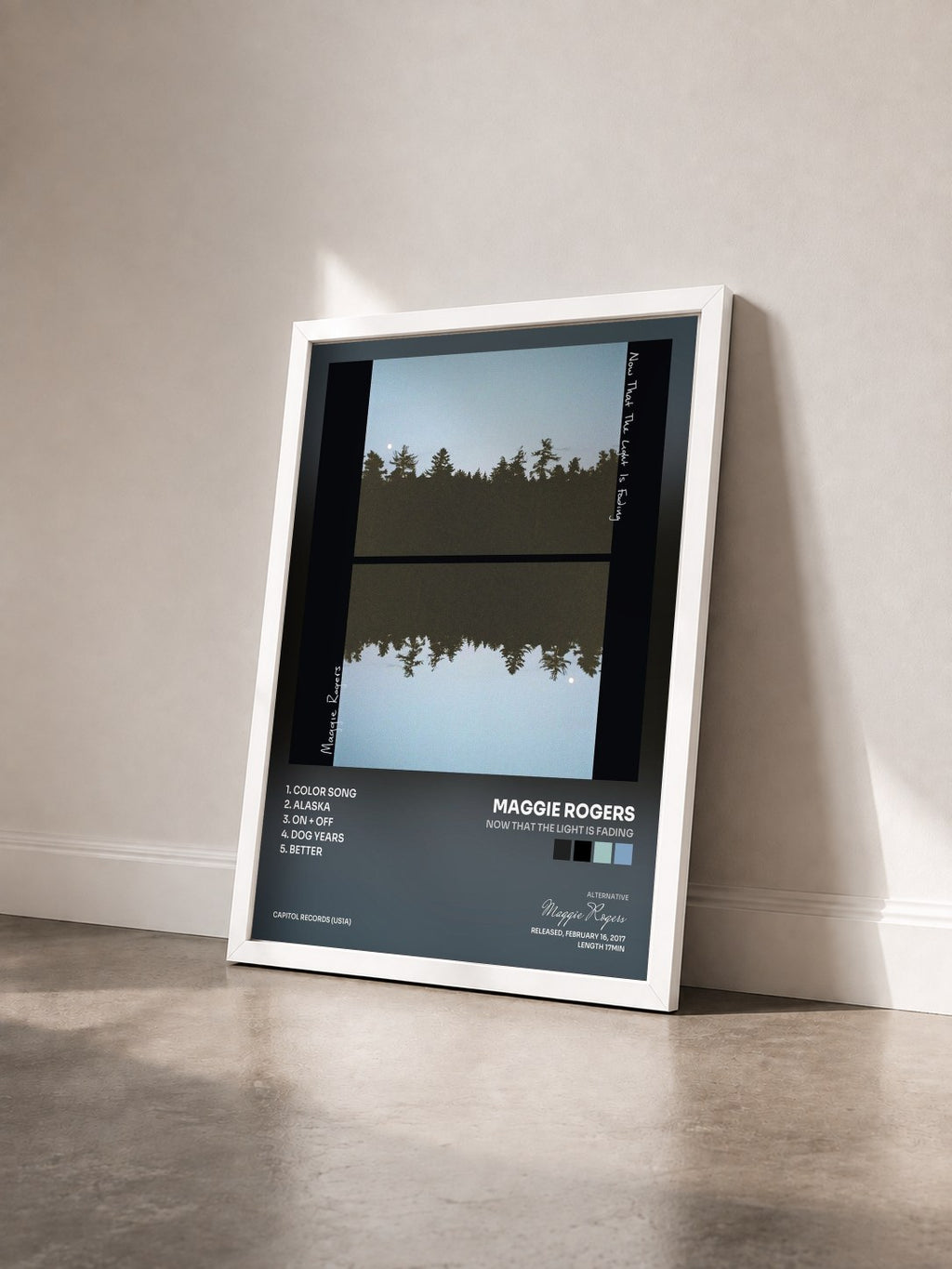 #blanc Tableau de l'album Now That The Light Is Fading de Maggie Rogers vu de trois quarts, cadre blanc