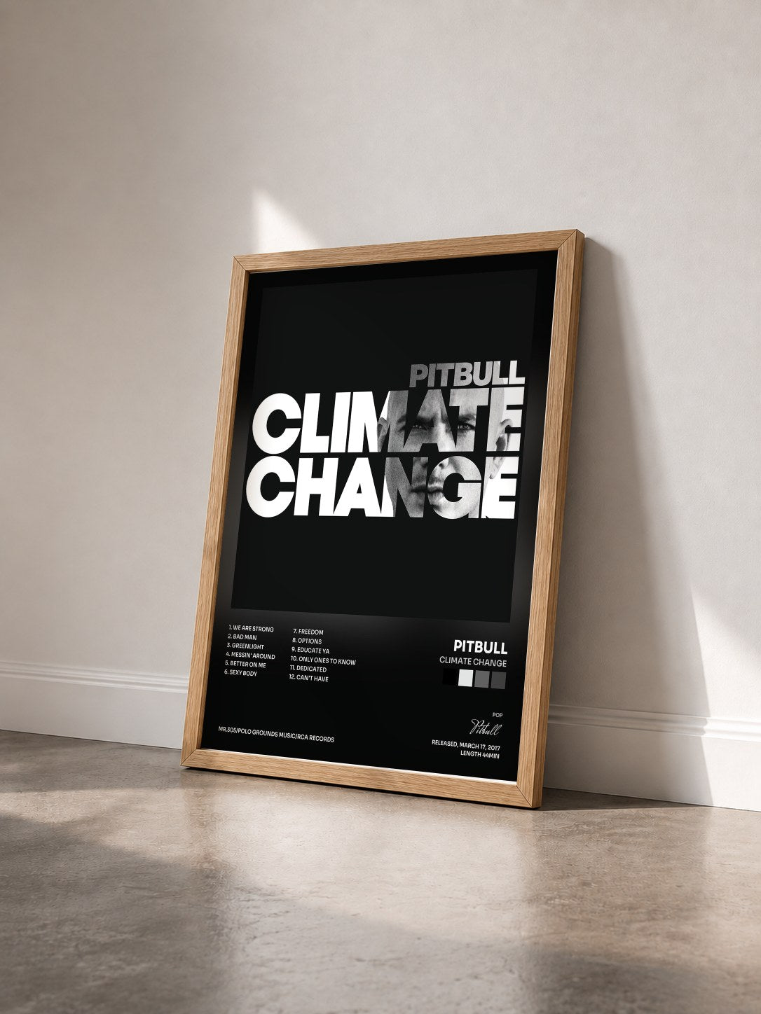 #bois Tableau de l'album Climate Change de Pitbull vu de trois quarts, cadre en bois brut