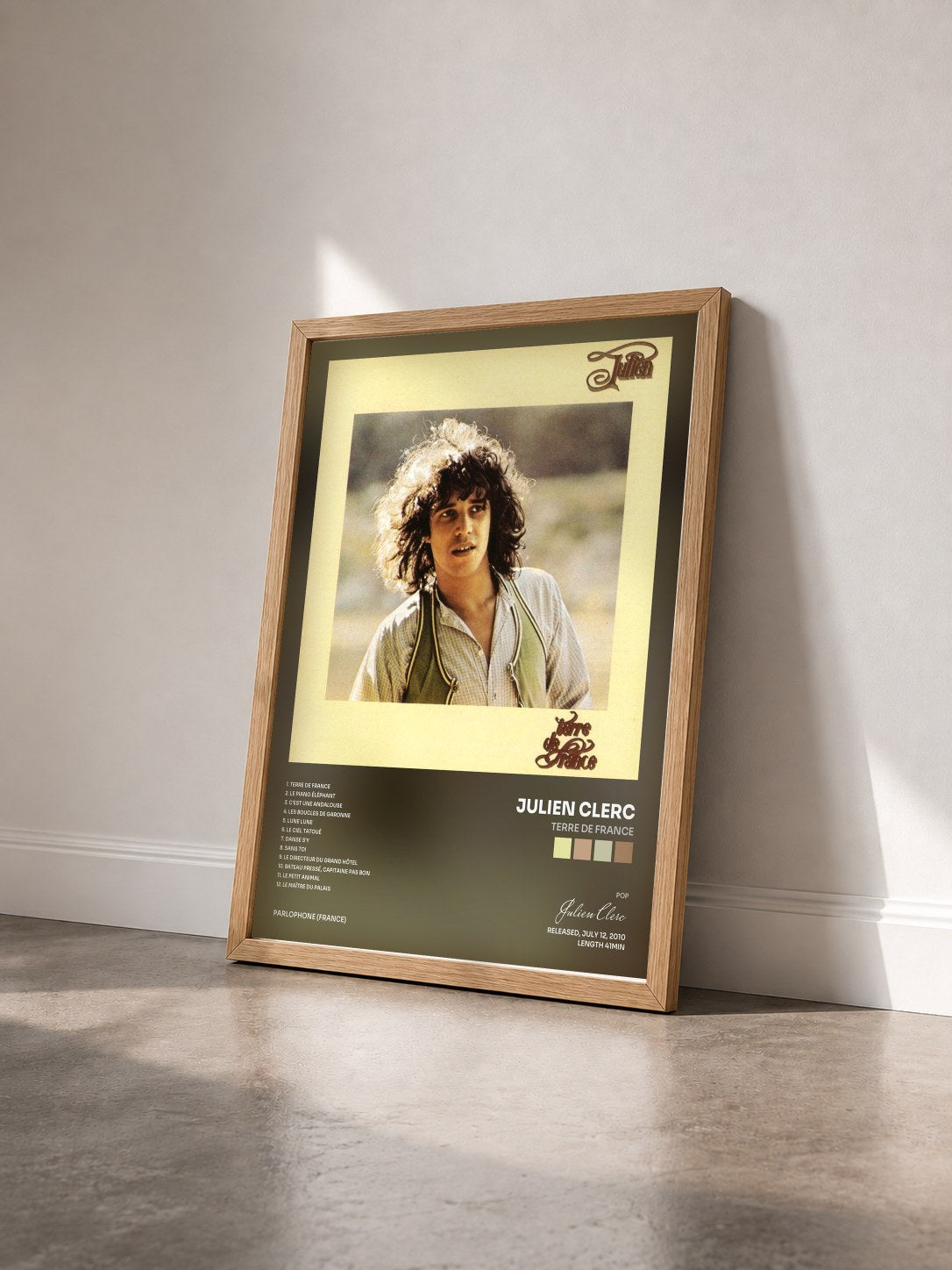 #bois Tableau de l'album Terre de France de Julien Clerc vu de trois quarts, cadre en bois brut