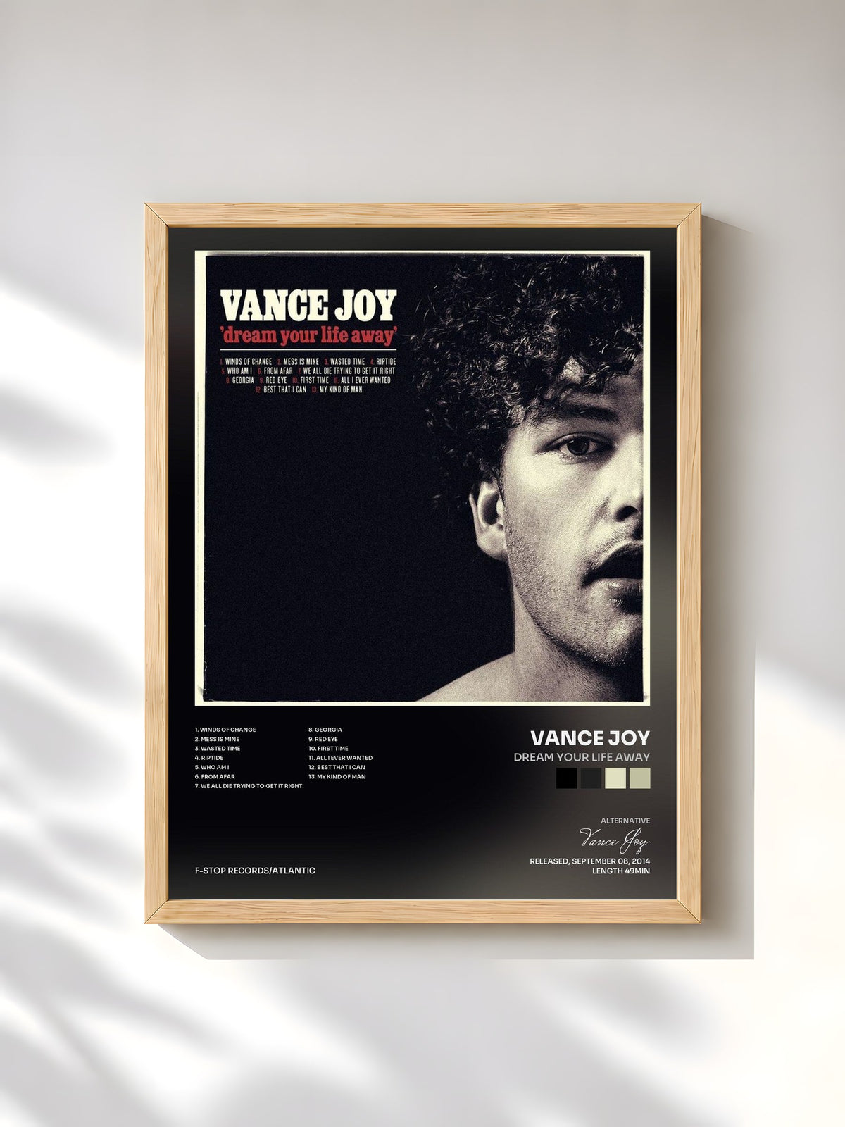 #bois Tableau de l'album Dream Your Life Away de Vance Joy, cadre en bois brut, imprimé et encadré en France