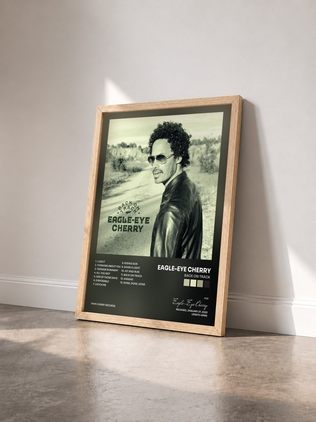 #bois Tableau de l'album Back on Track de Eagle-Eye Cherry vu de trois quarts, cadre en bois brut