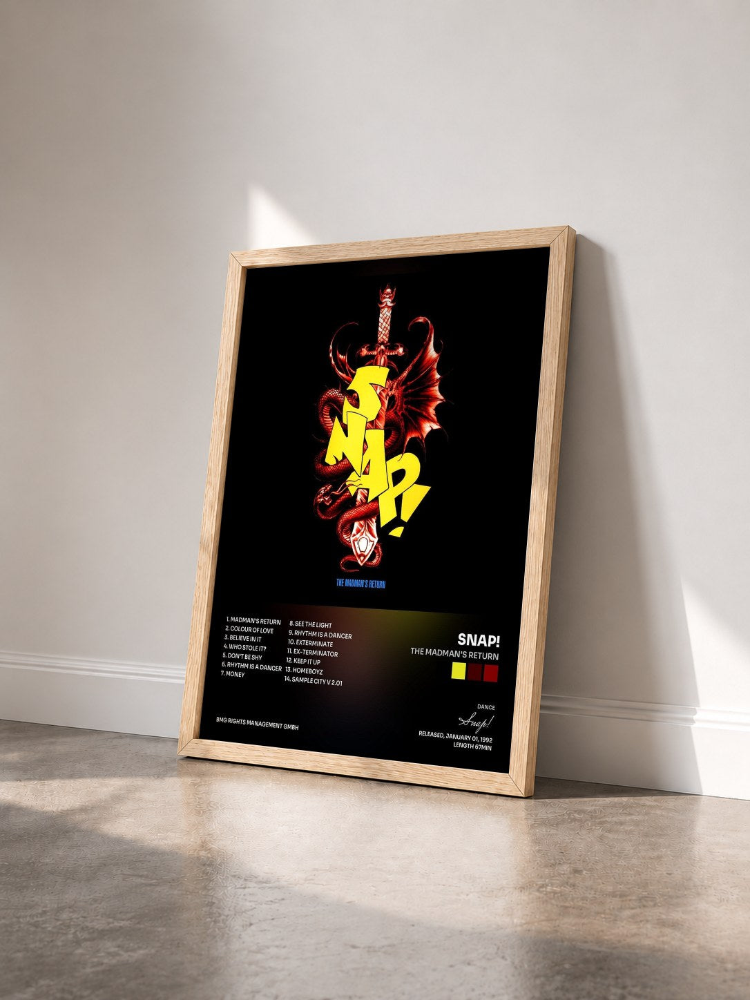 #bois Tableau de l'album The Madman's Return de Snap! vu de trois quarts, cadre en bois brut