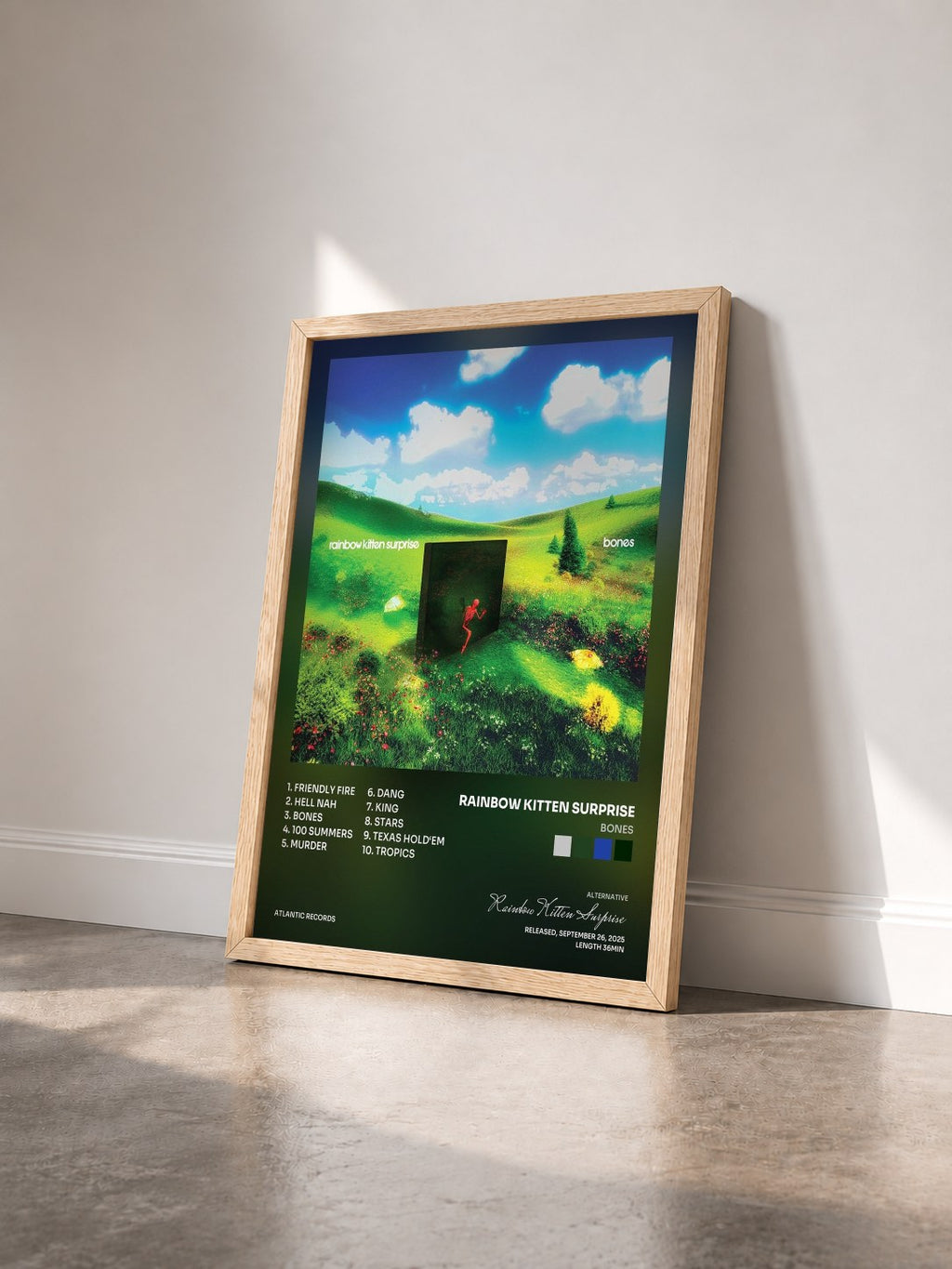 #bois Tableau de l'album bones de Rainbow Kitten Surprise vu de trois quarts, cadre en bois brut