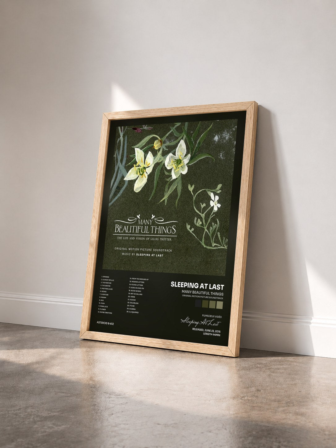 #bois Tableau de l'album Many Beautiful Things (Original Motion Picture Soundtrack) de Sleeping At Last vu de trois quarts, cadre en bois brut