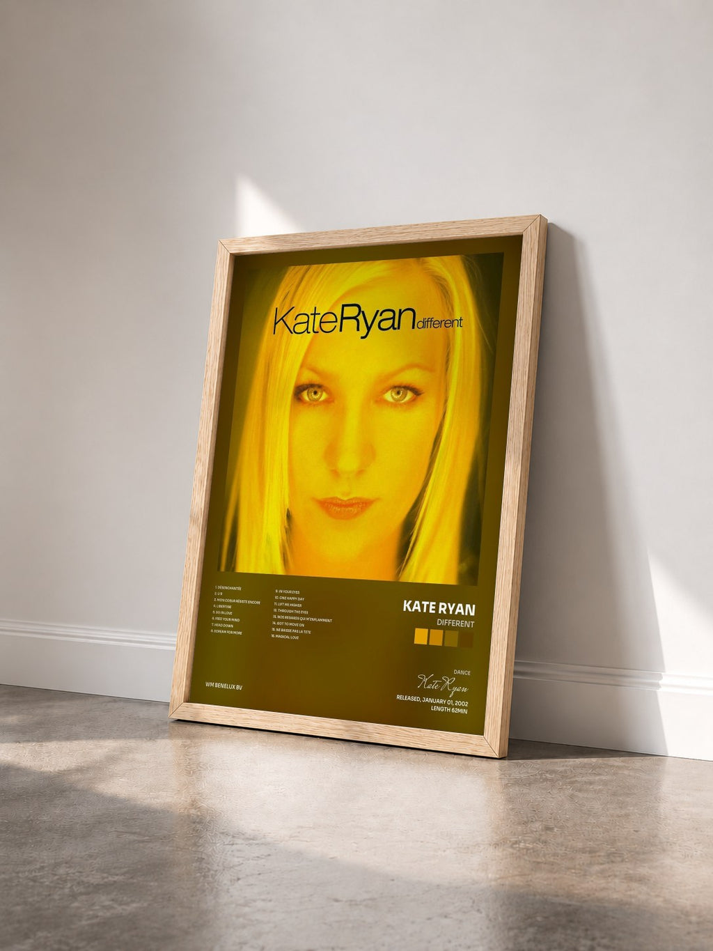 #bois Tableau de l'album Different de Kate Ryan vu de trois quarts, cadre en bois brut