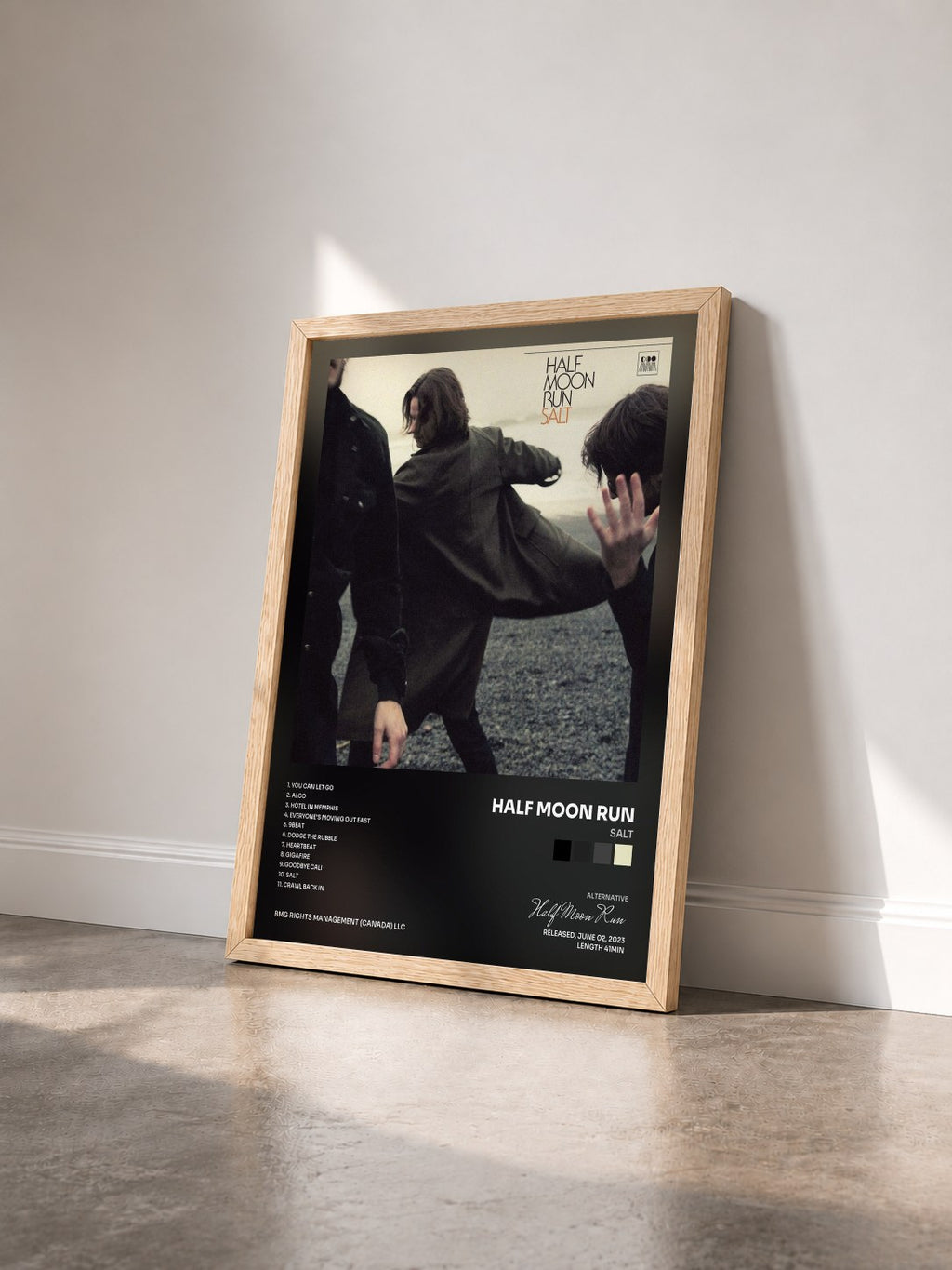 #bois Tableau de l'album Salt de Half Moon Run vu de trois quarts, cadre en bois brut