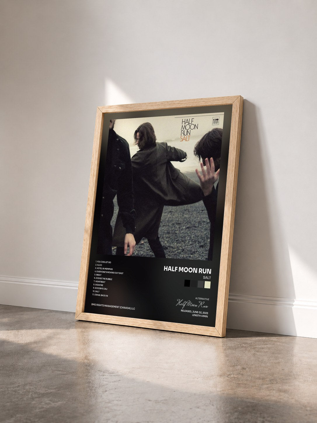 #bois Tableau de l'album Salt de Half Moon Run vu de trois quarts, cadre en bois brut