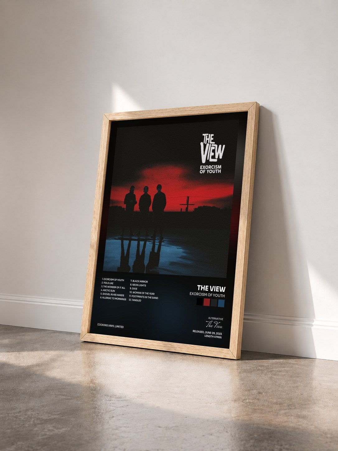 #bois Tableau de l'album Exorcism of Youth de The View vu de trois quarts, cadre en bois brut