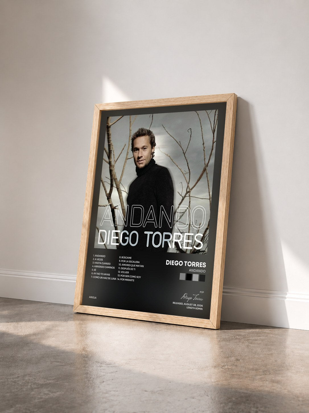 #bois Tableau de l'album Andando de Diego Torres vu de trois quarts, cadre en bois brut