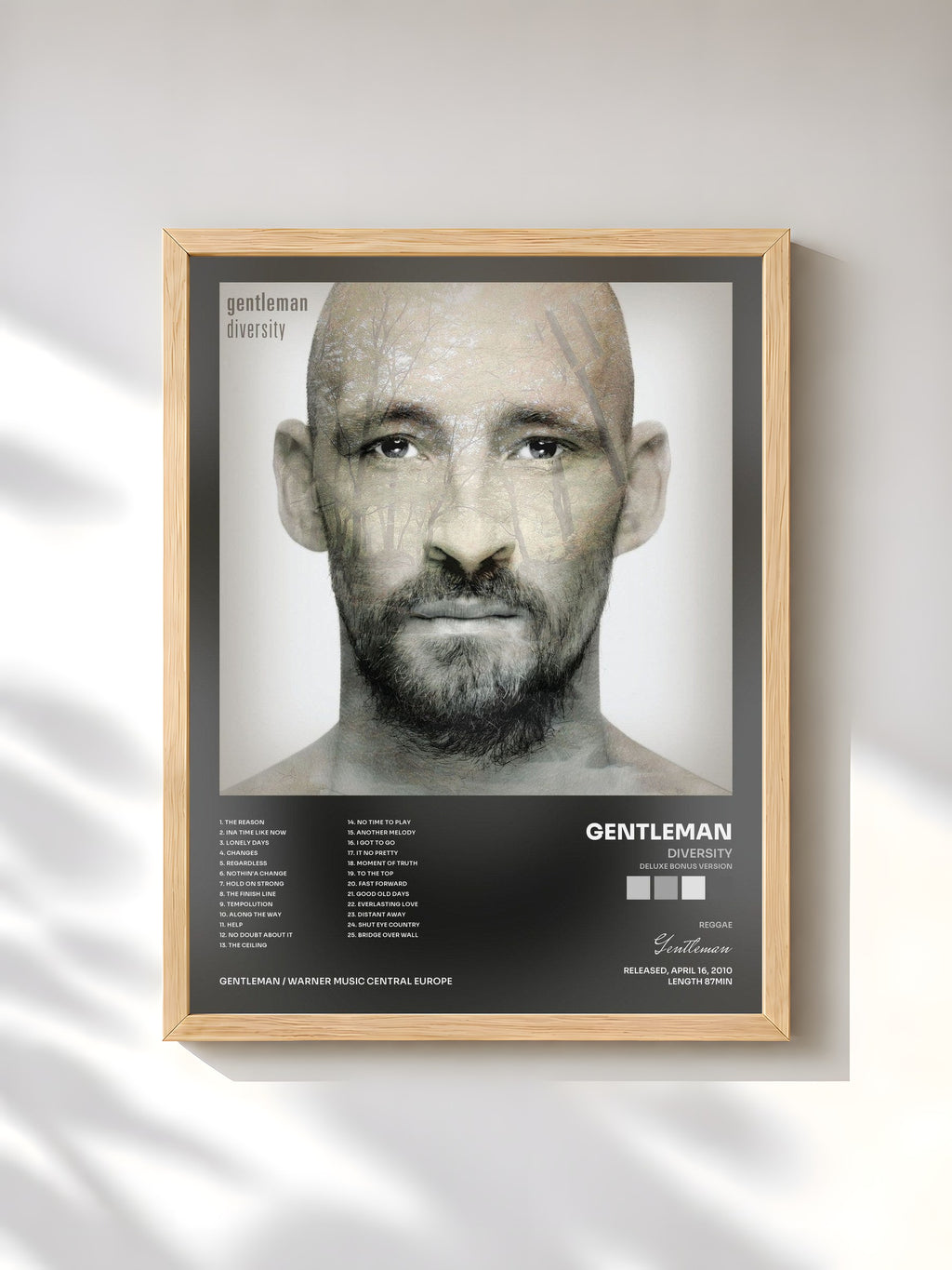 #bois Tableau de l'album Diversity (Deluxe Bonus Version) de Gentleman, cadre en bois brut, imprimé et encadré en France