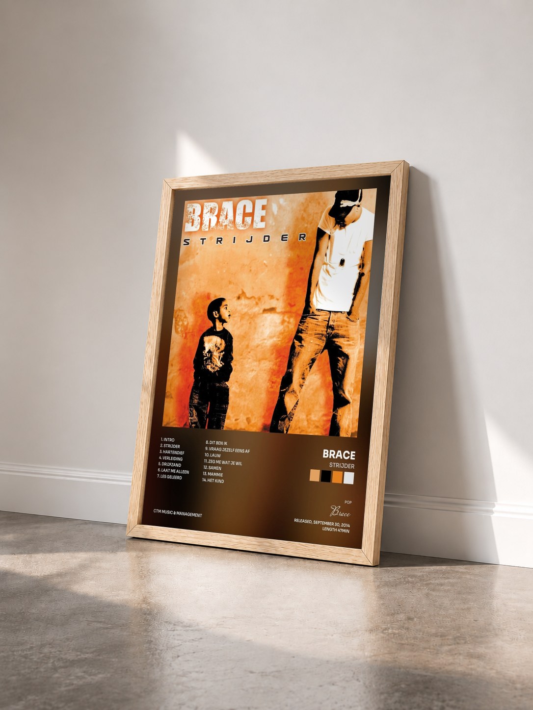 #bois Tableau de l'album Strijder de Brace vu de trois quarts, cadre en bois brut