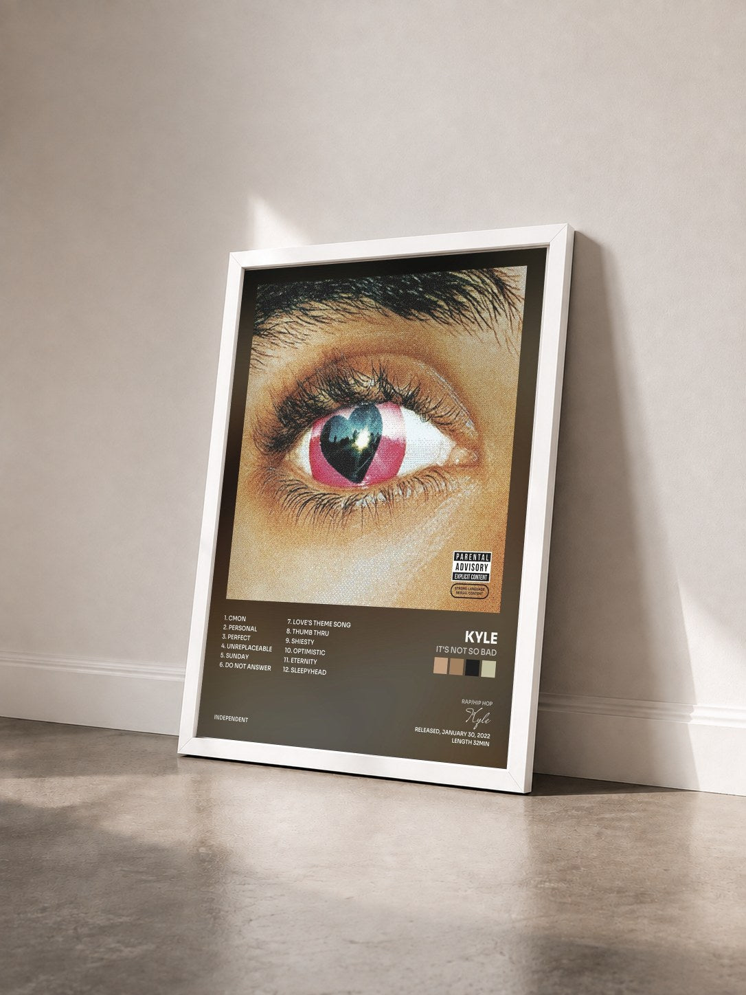 #blanc Tableau de l'album It's Not so Bad de Kyle vu de trois quarts, cadre blanc