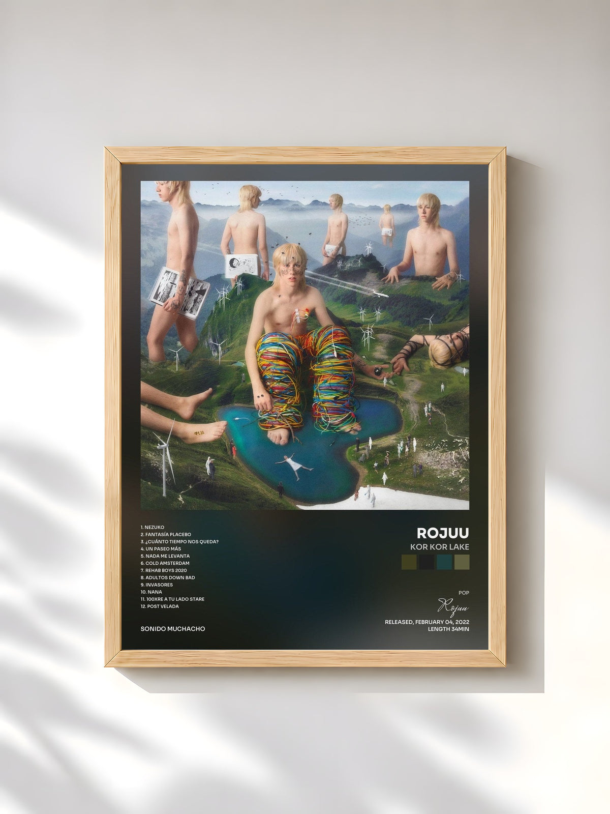 #bois Tableau de l'album KOR KOR LAKE de Rojuu, cadre en bois brut, imprimé et encadré en France