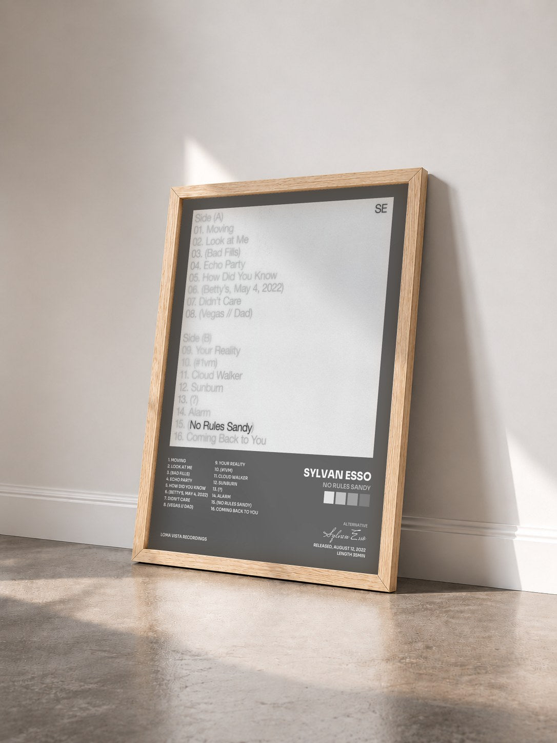 #bois Tableau de l'album No Rules Sandy de Sylvan Esso vu de trois quarts, cadre en bois brut