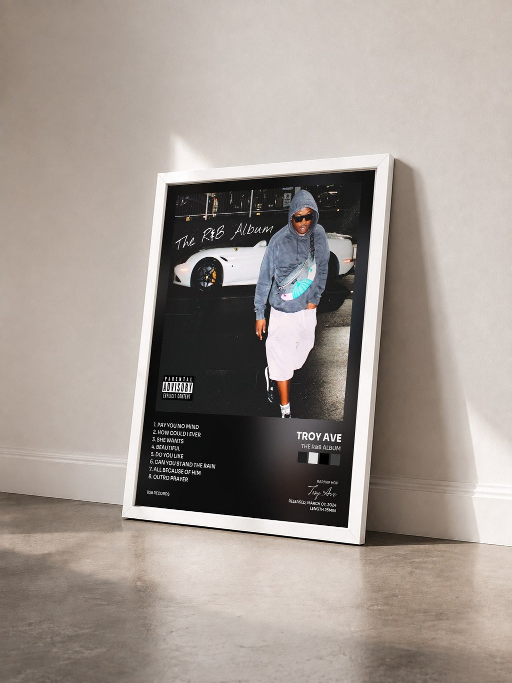 #blanc Tableau de l'album The R&B Album de Troy Ave vu de trois quarts, cadre blanc