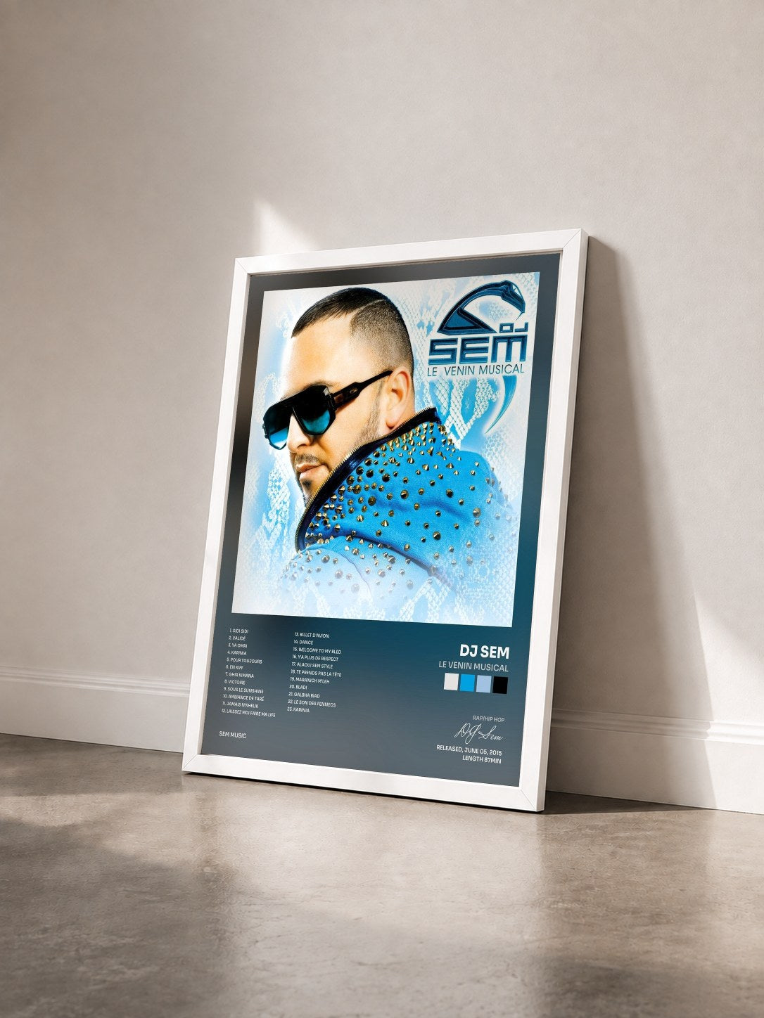 #blanc Tableau de l'album Le venin musical de DJ Sem vu de trois quarts, cadre blanc