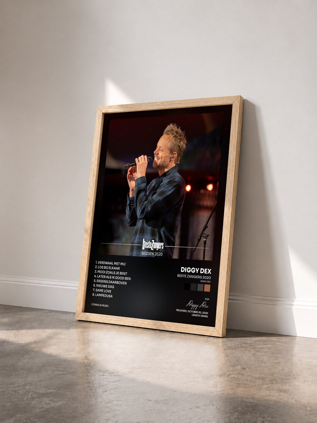 #bois Tableau de l'album Beste Zangers 2020 (Diggy Dex) de Diggy Dex vu de trois quarts, cadre en bois brut