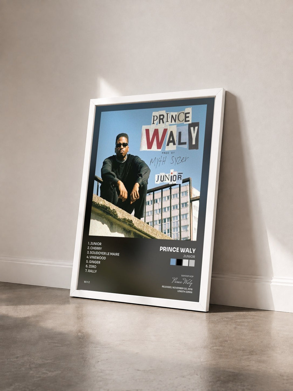 #blanc Tableau de l'album Junior de Prince Waly vu de trois quarts, cadre blanc