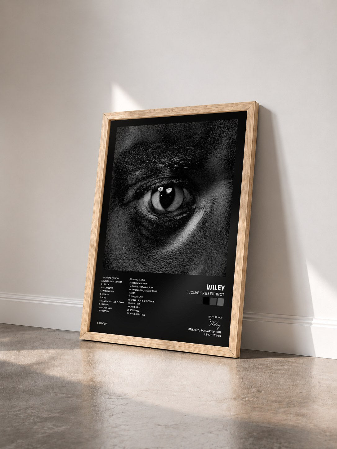#bois Tableau de l'album Evolve Or Be Extinct de Wiley vu de trois quarts, cadre en bois brut