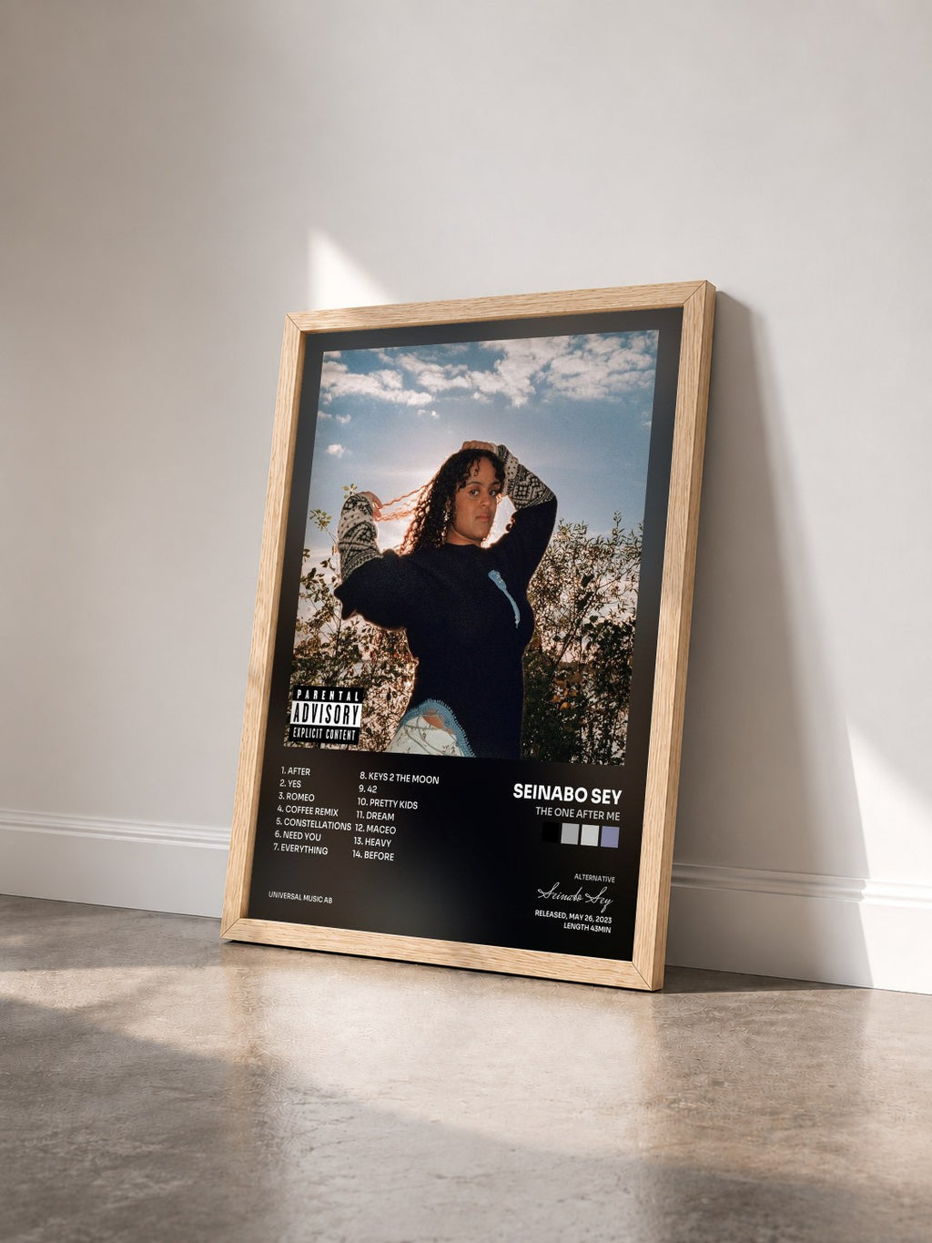 #bois Tableau de l'album THE ONE AFTER ME de Seinabo Sey vu de trois quarts, cadre en bois brut