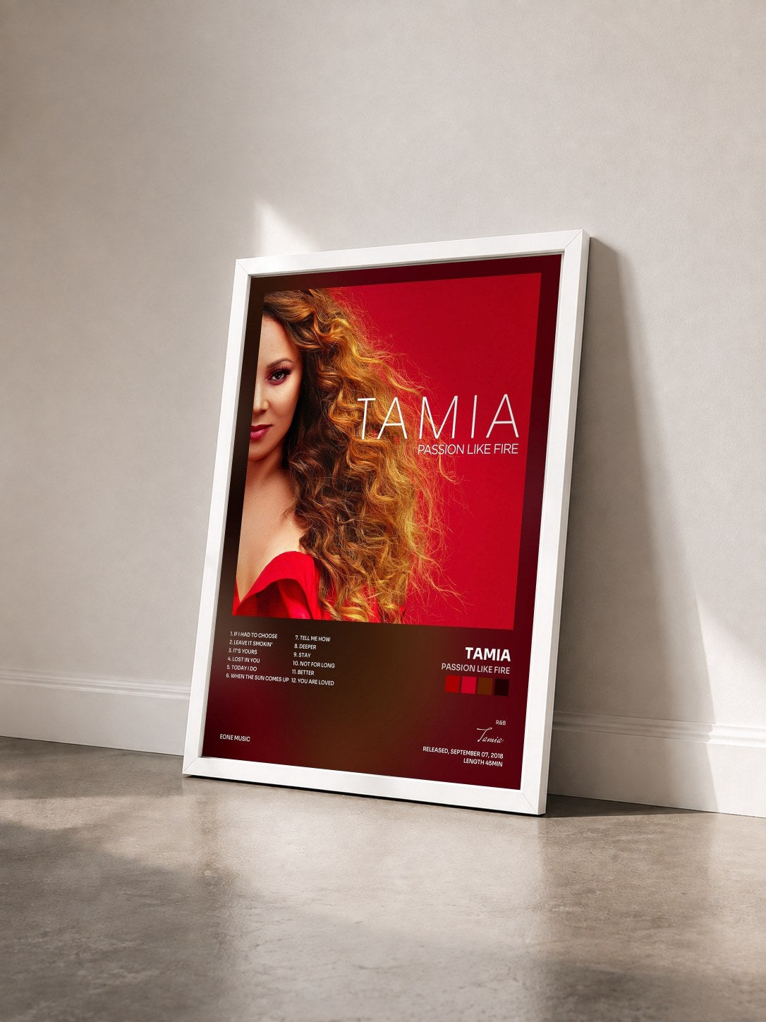 #blanc Tableau de l'album Passion Like Fire de Tamia vu de trois quarts, cadre blanc