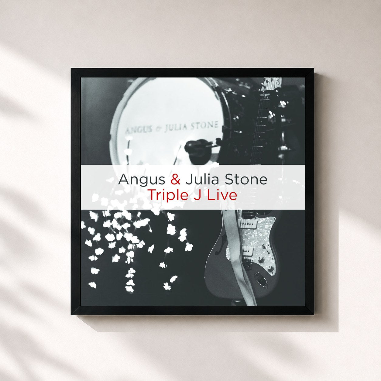 Angus & Julia Stone · Triple J Live