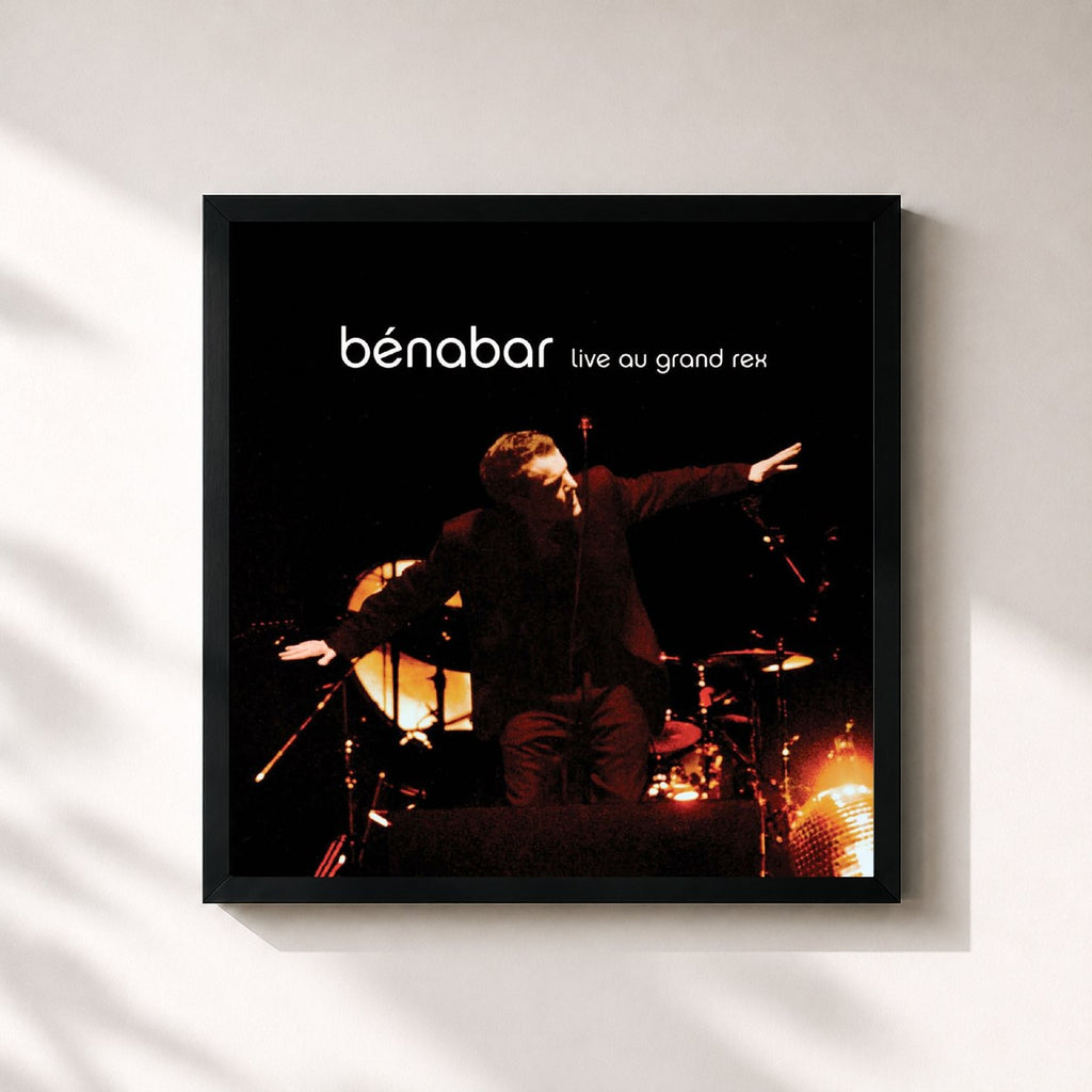 Bénabar · Live au Grand Rex
