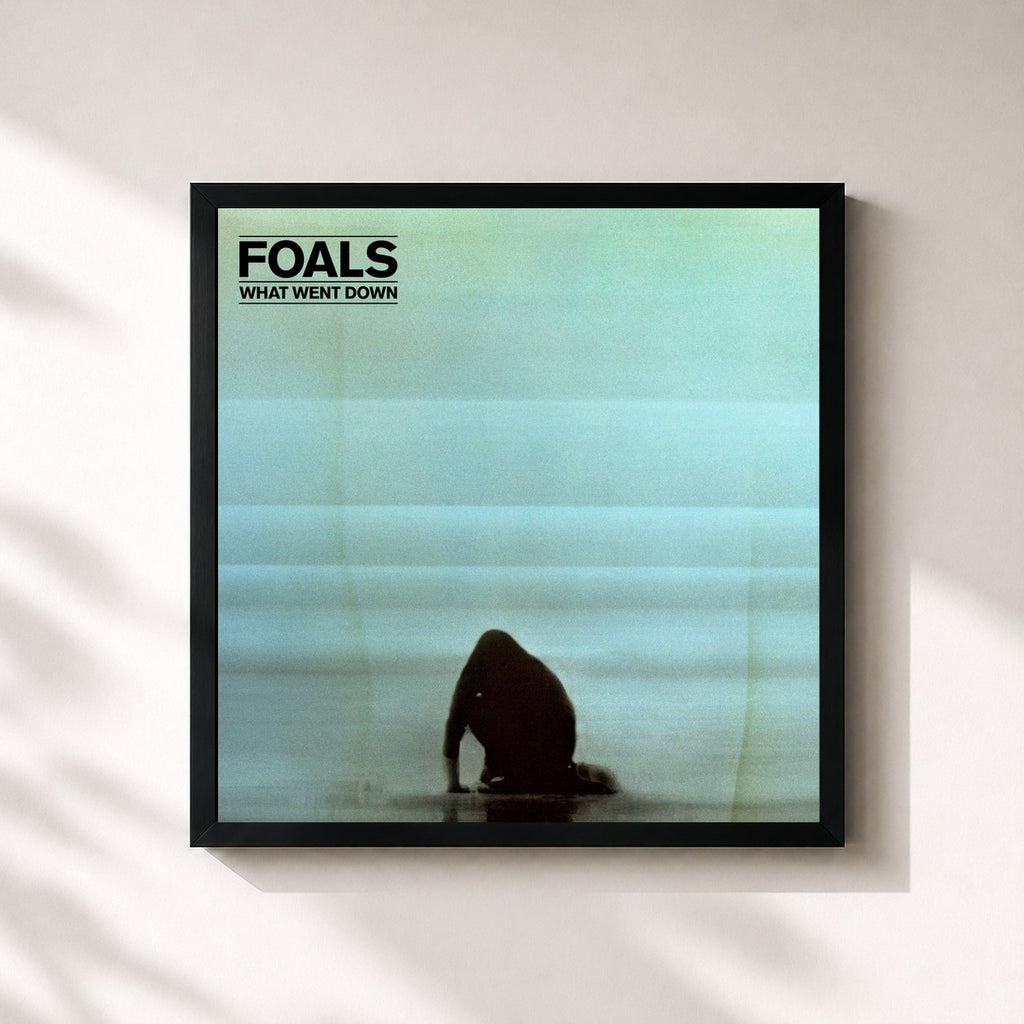 Foals · What Went Down