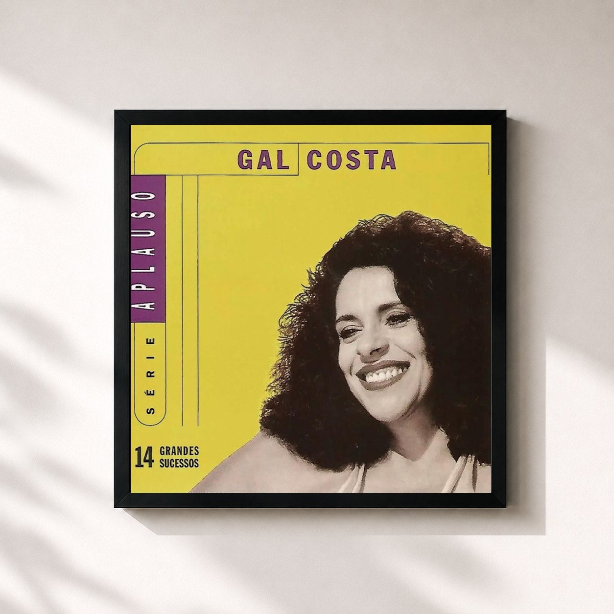 Gal Costa · Série Aplauso - Gal Costa