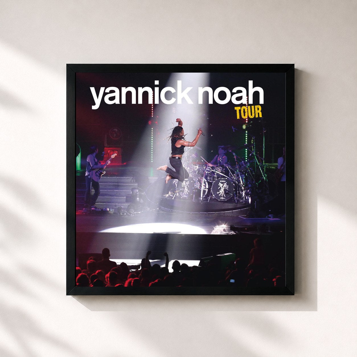 Yannick Noah · Yannick Noah Tour