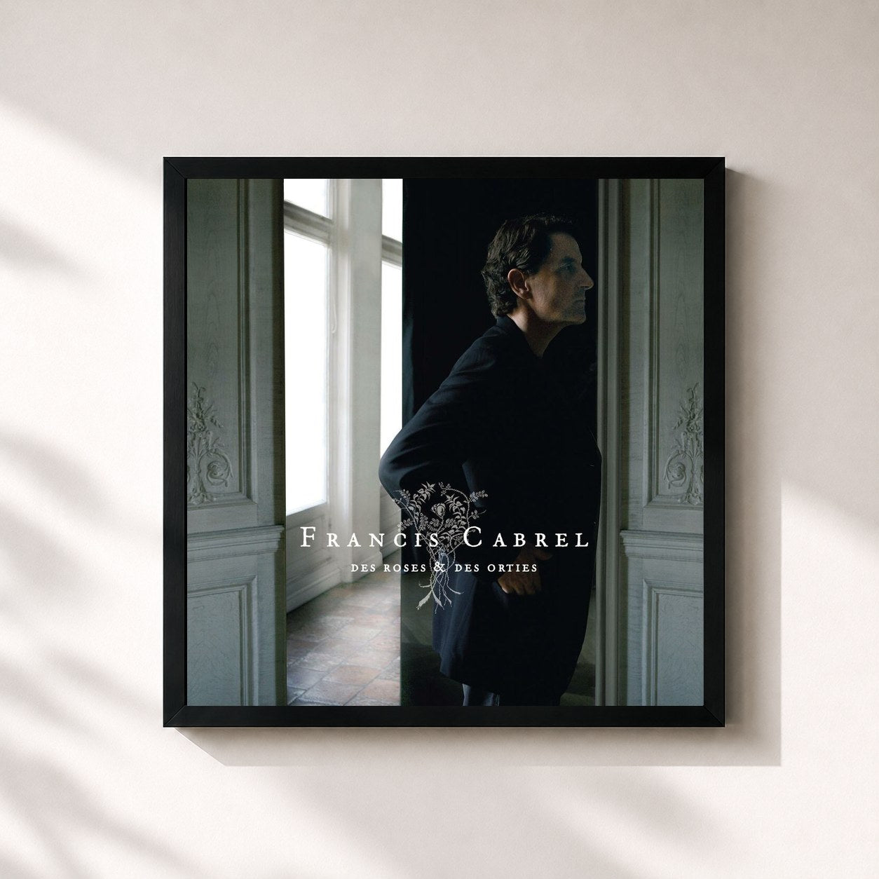 Tableau de l'album Des roses & des orties de Francis Cabrel, imprimé et encadré en France