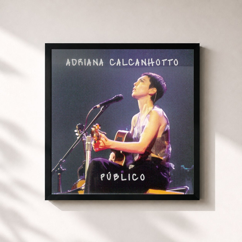 Adriana Calcanhotto · Público