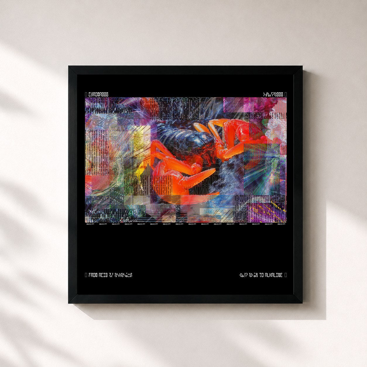 Bicep · CHROMA 000