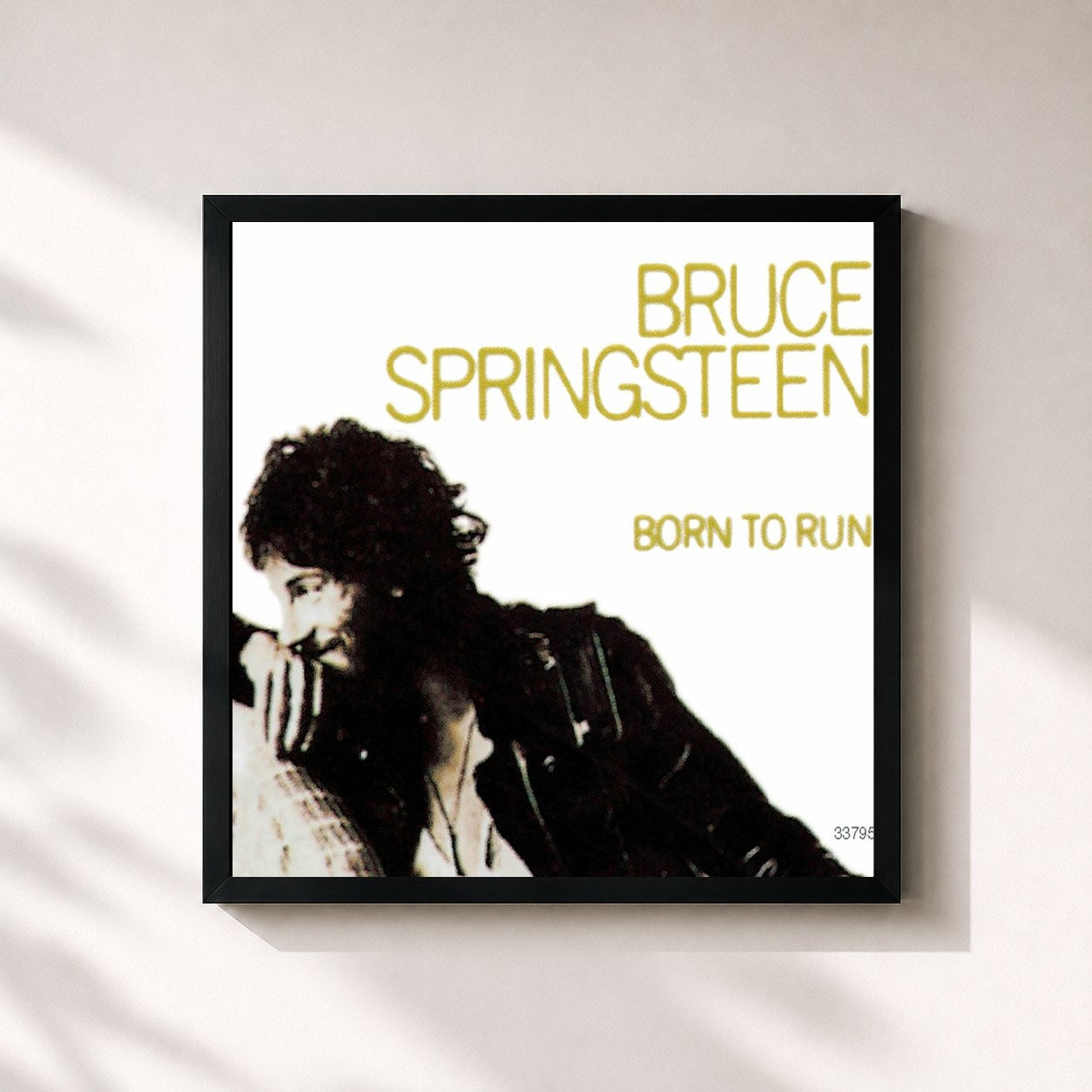 Bruce Springsteen · BORN TO RUN