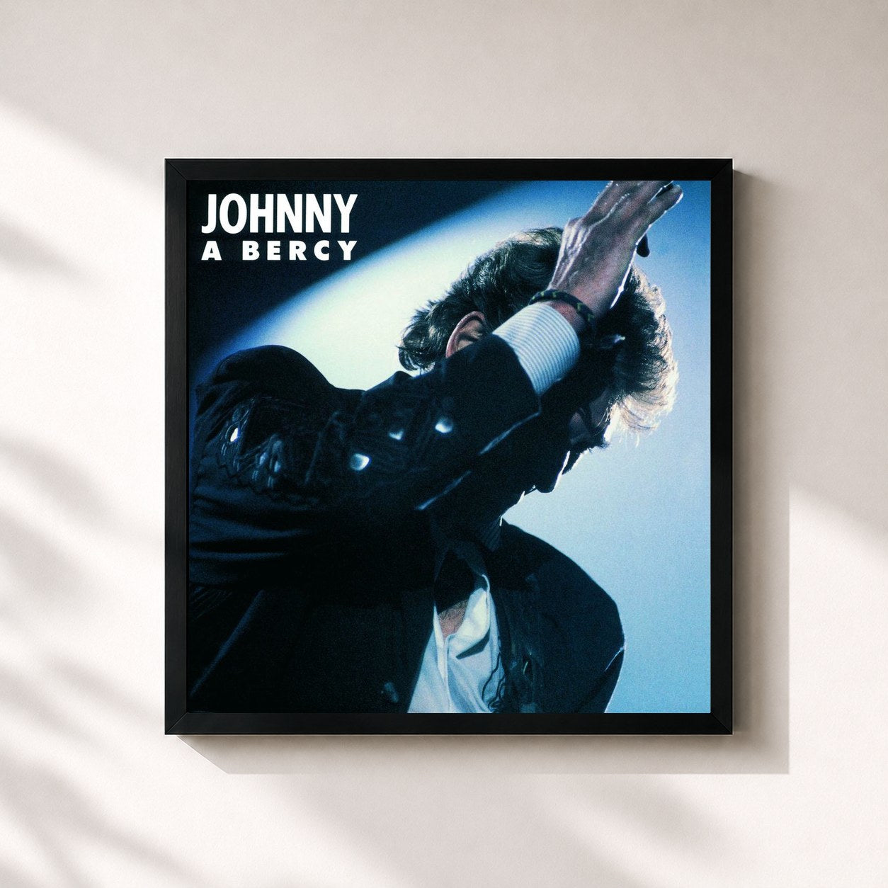 Johnny Hallyday · Bercy 87